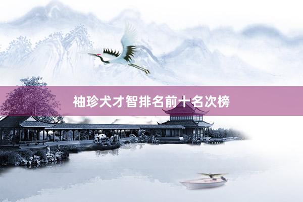 袖珍犬才智排名前十名次榜